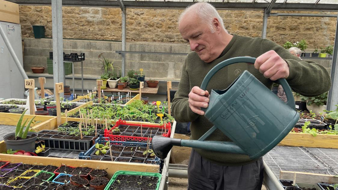 Serre de jardin : investissement durable ou simple confort ?