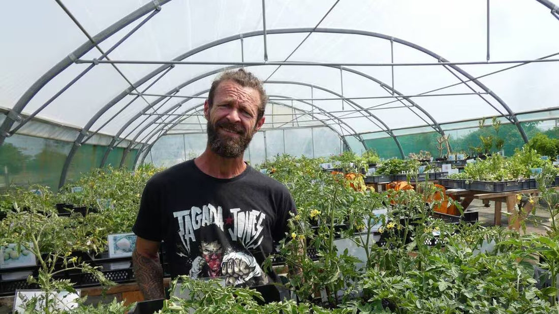 Comment optimiser la production dans une serre toute l’année