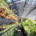 Aménagements du Jardin