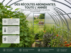 Cultures de légumes et tomates dans une serre de jardin en polycarbonate